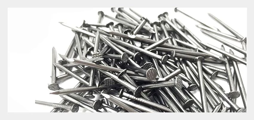 product-850-402 electro galvanized common nails type
