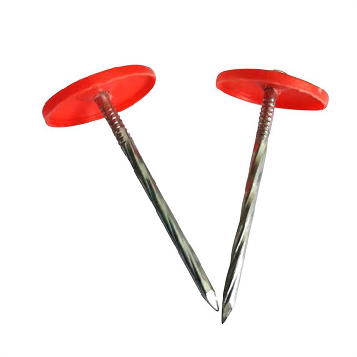 Ring Shank Cap Plastig Hoelion To